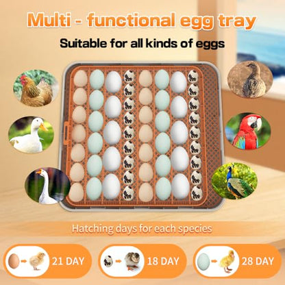 HOWOOlUA 56 Egg Incubator for Hatching Eggs with Auto Turn, Temp & Humidity Control, Built-in Candler Large Capacity Egg Incubator for Chicken Duck Goose Eggs