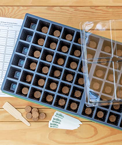 Burpee 72 Cell Seed Starting Kit with Greenhouse Dome and Coir Pellets - size: One Size