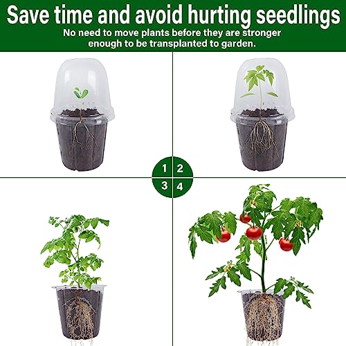 winemana 36 Set Nursery Pots with Humidity Dome, Clear Nursery Pots for Plants, Seed Starting Pots with Drainage Holes & Plant Labels for Vegetables Flowers Garden Plants - size: Clear