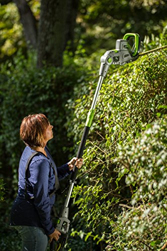 Earthwise CVP41810 2-in-1 Convertible Pole Hedge Trimmer - style: 4-in-1 Pole Hedge/Chainsaw