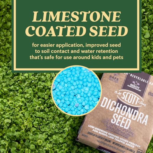 O.M. Scott & Sons Dichondra Seed, 1.5 lbs. - color: Dichondra, size: 1 Pack