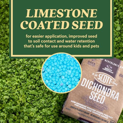 O.M. Scott & Sons Dichondra Seed, 1.5 lbs. - color: Dichondra, size: 1 Pack