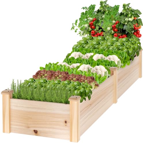 MIXC 8×2ft Wooden Horticulture Raised Garden Bed Outdoor Divisible Elevated Planting Planter Box for Vegetables, Herbs, Strawberry, Flowers in Backyard and Patio, Natural Wood - size: 96”L X 24”W