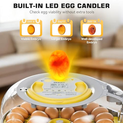 IBKINXX 26 Egg Incubator for Hatching Eggs - Smart Voice Guidance