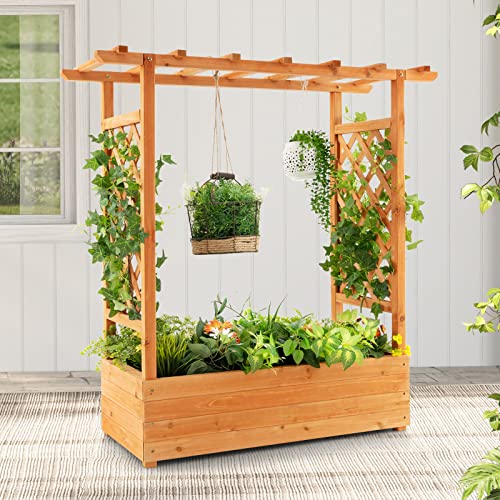 LDAILY Raised Garden Bed with Trellis, Above Ground Garden Bed with Hanging Roof, Side Trellis, & 4 Drainage Holes, Planter Box for Outdoor Climbing Plants Vines Flowers (1, 43.5"L x 17.5"W x 44.5"H) - size: 43.5" L x 17.5" W x 44.5" H