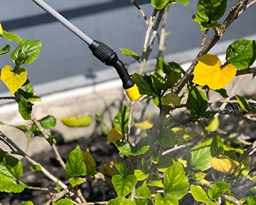 Pumpless Battery Powered Sprayer, Translucent