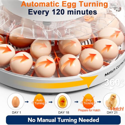 Upgraded Egg Incubators for Hatching Eggs, 22 Egg Incubator with Automatic Egg Turning, Temperature Control & Humidity Display, LED Candler, Incubator for Chicken, Duck, Quail Eggs