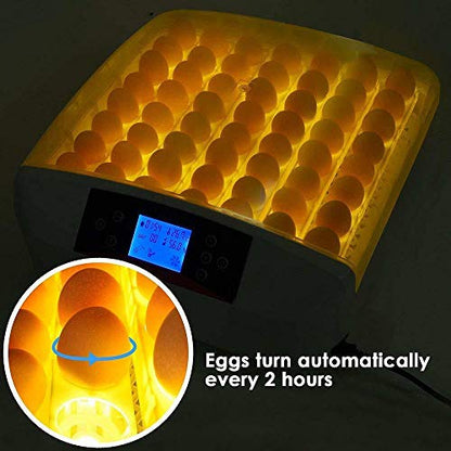 TECHTONGDA Digital Egg Incubator 56Eggs Automatic Poultry Hatcher with Egg Turning and Humidity Control 110V