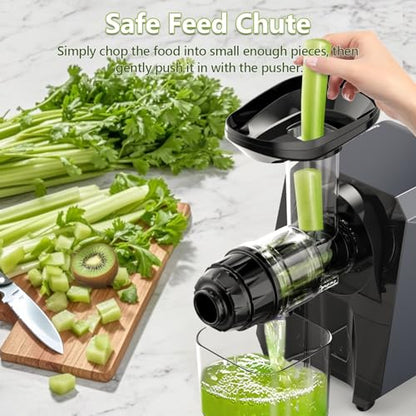 Cold Press Slow Juicer with Electric Coffee Grinder for Ginger - color: Meteorite Grey