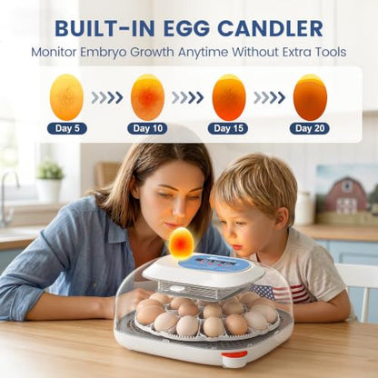 Sailnovo 24 Egg Incubators for Hatching Eggs, 360° View with 4 Modes, Blue