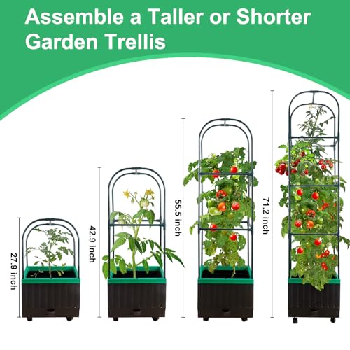 Yhtpouqe Raised Garden Bed with Self Watering Garden Pots, Planter Box with Trellis for Climbing Plants Vegetable Vine Flowers, Tomato Cage Planter for Indoor Outdoor Yard Greenhouse Use