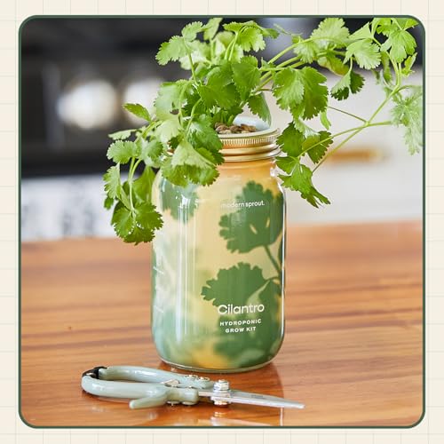 Modern Sprout Hydroponic Grow + Harvest Bundle - color: Cilantro Garden Jar + Chartreuse Shears