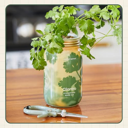 Modern Sprout Hydroponic Grow + Harvest Bundle - color: Cilantro Garden Jar + Chartreuse Shears