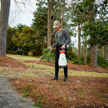 Husqvarna 2 Gallon Battery Handheld Sprayer for Lawn and Garden