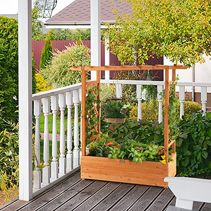 LDAILY Raised Garden Bed with Trellis, Above Ground Garden Bed with Hanging Roof, Side Trellis, & 4 Drainage Holes, Planter Box for Outdoor Climbing Plants Vines Flowers (1, 43.5"L x 17.5"W x 44.5"H) - size: 43.5" L x 17.5" W x 44.5" H