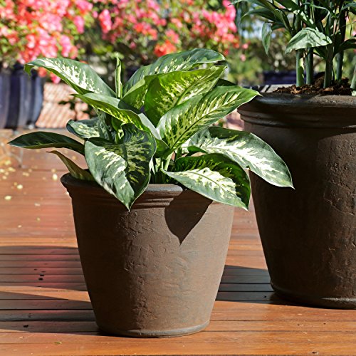 Sunnydaze Anjelica 15.25'' Large Plastic Planter Pot for Plants, Rust - color: Rust, size: 15.25 in