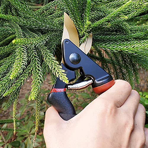 gonicc 8.5" Professional Rotating Bypass Titanium Pruning Shears(GPPS-1014) - color: Golden Rotating Titanium Bypass Pruning Shears
