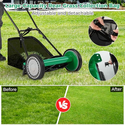 16" Manual Rear Mower, Push Lawn Mower with 5 Steel Blades, Adjustable Cutting Heights & Grass Catcher Bag, Walk-Behind Grass Cutter Lawn Sweeper for Garden, Park & Yard (Green) - color: Green, size: 16"