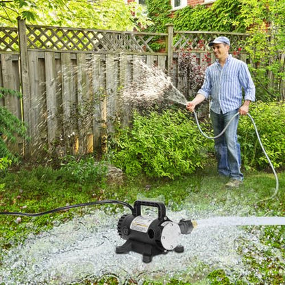 Water Pump 115V 1/10 HP 260 GPH Utility transfer Pump-Black - style: Black-NewG