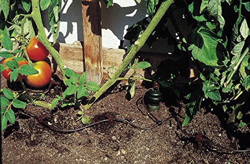Blumat 10 Distributor Drippers with 3mm Tubing for Drip Irrigation and Automatic Watering | Drip Line System Parts (2 Pack (3mm))