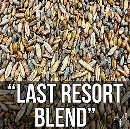 Crooked Bend Last Resort Blend, 12LB EcoPack, Winter Food Plot Seed for Deer, Cereal Grain Rye, Wheat, Barley, Triticale & Oat Seeds Grow Whitetail & Turkey Attractants & Cold Hardy Hunting Food Plots - size: 12 Pound (Pack of 1)