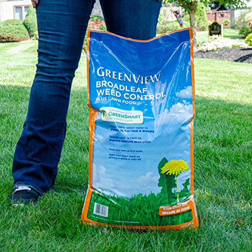 GreenView Weed and Feed 39 lb. Bag, Covers 15,000 sq. ft. - size: Covers 15,000 sq. ft.