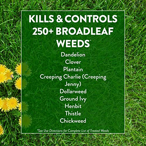 GreenView Weed and Feed 13 lb. Bag, Covers 5,000 sq. ft. - size: Covers 5,000 sq. ft.