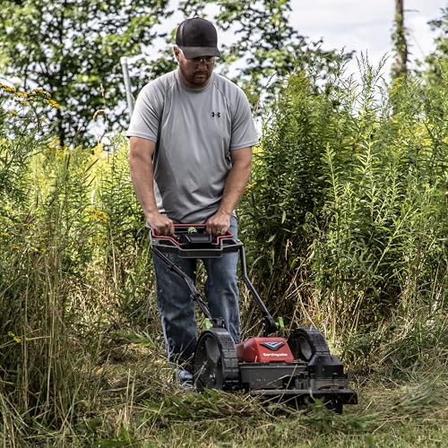 Earthquake 60V Walk Behind String Mower, Includes Two 4Ah Batteries, 22” Cutting Diameter, Three Cutting Speed Dial, 14” Never-Go-Flat Wheels, Easy Assembly, Adjustable Handlebar, Model #44965