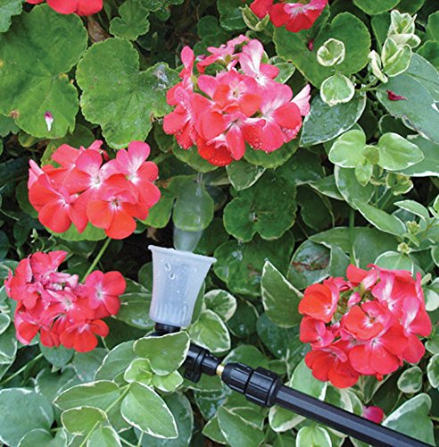 SOLO 420 2-Liter One-Hand Pressure Sprayer with Adjustable Telescoping Wand