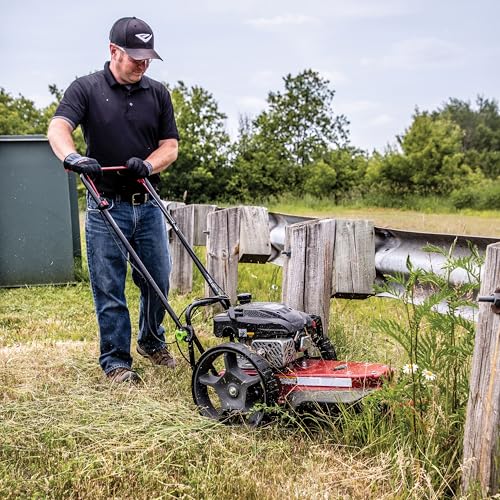 Earthquake Walk Behind String Mower With 160cc Viper 4-Cycle Engine, 22” Cutting Diameter, 14” Never-Go-Flat Wheels, Easy Assembly, Adjustable Handlebar, 40314