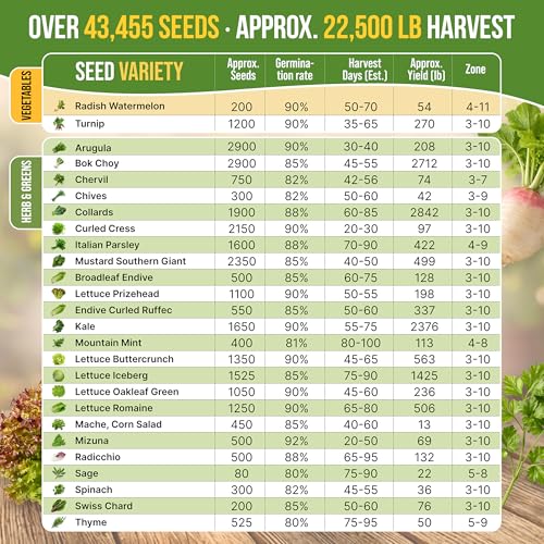 50 Winter Vegetable Garden Seeds Variety Pack - 43,450+ Non-GMO Heirloom Seeds for Outdoors & Indoor Home Gardening, Including Kohlrabi, Lettuce, Radish, Onion, Choy, Spinach, Cauliflower, Collards