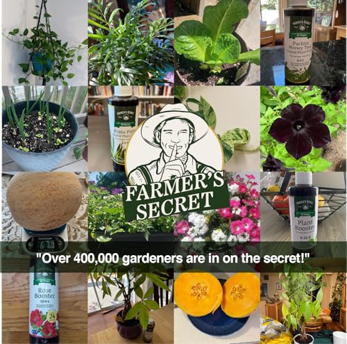 Farmer’s Secret Fruit & Bloom Booster Fertilizer - Super Concentrated - Boosts Flowering and Yield on All Varieties of Fruits, Vegetables and Flowers (8oz) (Pack of 2) - size: 8oz (Pack of 2)