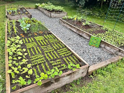 Seed Spacer Tool Bundle with Row Seeder for Pots, Trays and Raised Beds Kit | Color-Coded Layout | Even Placement | Quick Soil Imprints | Reusable Design | Beginner Friendly