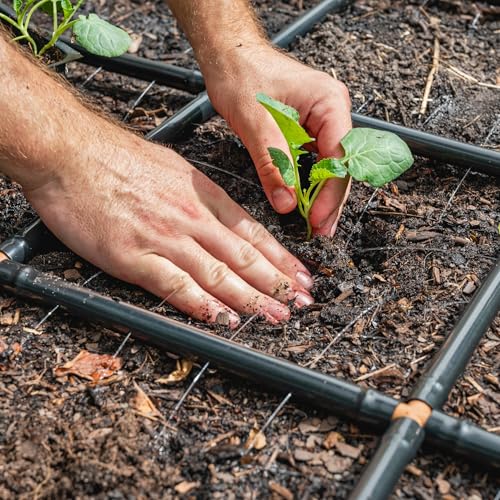 Garden Grid 2x6 | Garden Irrigation System for Raised Beds | Cornerless - size: 2x6, style: Cornerless