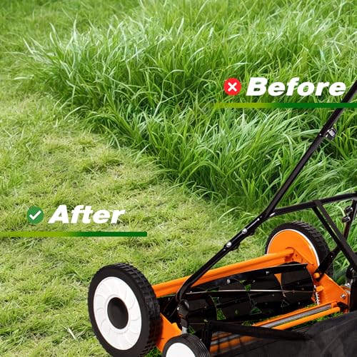 Walensee 20-Inch 5-Blade Push Reel Lawn Mower, Cordless Manual Reel Lawn Mower Walk-Behind Steel Lawn Mowers with Removable 11.8-Gallon Grass Catcher, Sponge Grip, 9-Position Cutting Height Adjustment - size: 20-Inch With Catcher