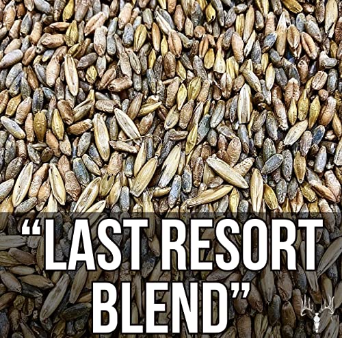 Crooked Bend Last Resort Blend, 50LB Bulk, Winter Food Plot Seed for Deer, Cereal Grain Rye, Wheat, Barley, Triticale & Oat Seeds Grow Whitetail & Turkey Attractants & Cold Hardy Hunting Food Plots - size: 25 Pound (Pack of 2)