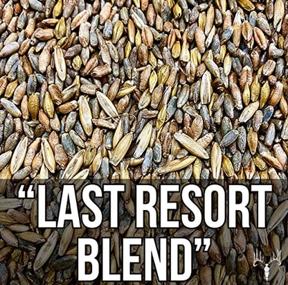 Crooked Bend Last Resort Blend, 50LB Bulk, Winter Food Plot Seed for Deer, Cereal Grain Rye, Wheat, Barley, Triticale & Oat Seeds Grow Whitetail & Turkey Attractants & Cold Hardy Hunting Food Plots - size: 25 Pound (Pack of 2)