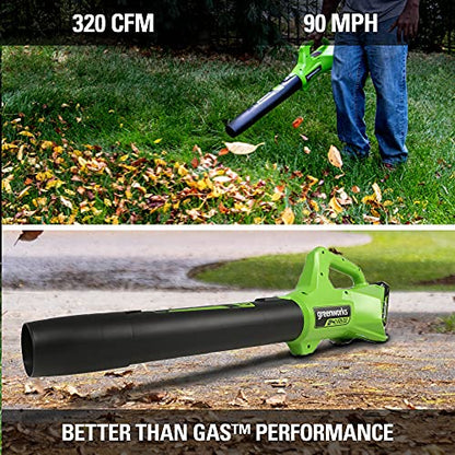 Greenworks 24V 12 in String Trimmer & 320 CFM Blower Combo, 2.0 Ah Battery - style: Gen 2 Combo (12" + 320 CFM)