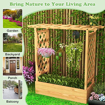 LDAILY Raised Garden Bed with Trellis, Above Ground Garden Bed with Hanging Roof, Side Trellis, & 4 Drainage Holes, Planter Box for Outdoor Climbing Plants Vines Flowers (1, 43.5"L x 17.5"W x 44.5"H) - size: 43.5" L x 17.5" W x 44.5" H