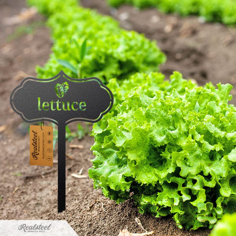 RealSteel Metal Seed & Plant Markers – Elegant Indoor & Outdoor Garden Stakes – Durable Herb, Vegetable & Fruit Plant Labels for Pots, Raised Beds & Greenhouse – Farmhouse Garden Gift - (Beans) - style: BEANS
