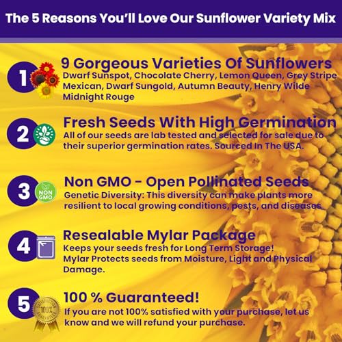 NatureZ Edge 5200+ Sunflower Seeds for Planting Bulk Variety Pack, Get More Sunflower Seeds to Plant, from Dwarf Sunflowers to Giant Sunflower Seeds, Includes Mammoth Sunflower Seeds, Non-GMO - size: 8 oz- 5200 Seeds