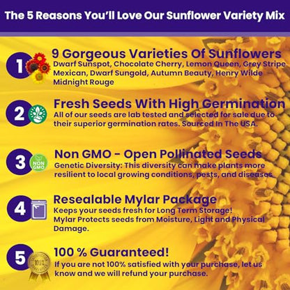 NatureZ Edge 5200+ Sunflower Seeds for Planting Bulk Variety Pack, Get More Sunflower Seeds to Plant, from Dwarf Sunflowers to Giant Sunflower Seeds, Includes Mammoth Sunflower Seeds, Non-GMO - size: 8 oz- 5200 Seeds
