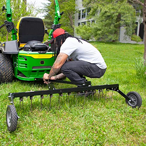 Brinly 48" Tow Behind Grass Dethatcher, Removes Thatch on Large Lawns in Less Time - Flat Black - color: Flat Black
