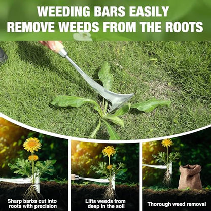 WORKPRO Crack Weeder, 13.5" Stainless Steel Weeding Tool, Wooden Handle