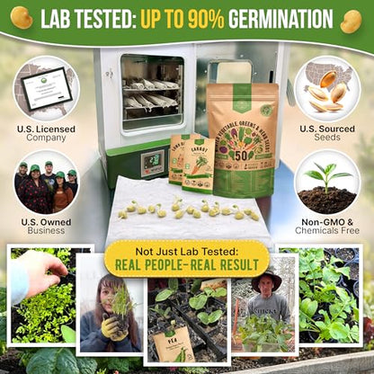 50 Winter Vegetable Garden Seeds Variety Pack - 43,450+ Non-GMO Heirloom Seeds for Outdoors & Indoor Home Gardening, Including Kohlrabi, Lettuce, Radish, Onion, Choy, Spinach, Cauliflower, Collards
