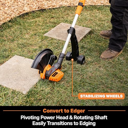 LawnMaster 24V Max 10" Cordless String Trimmer Weed Eater, CLGT2410S - style: 10-Inch