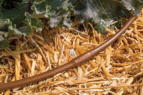 Rain Bird Emitter Tubing, 1/4" | Pressure Compensating | 6" Spacing | 50 ft Roll | Brown - size: 50' Roll (Pack of 2), style: Emitter Tubing - 6" Spacing