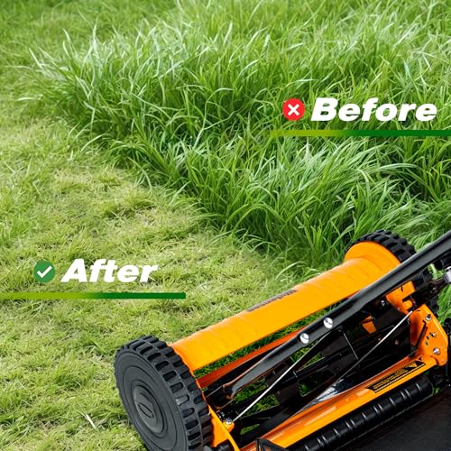 Walensee 16-Inch 5-Blade Push Reel Lawn Mower, Cordless Manual Reel Lawn Mower Walk-Behind Steel Lawn Mowers with Removable 7.9-Gallon Grass Catcher, Sponge Grip, 4-Position Cutting Height Adjustment - size: 16-Inch With Catcher