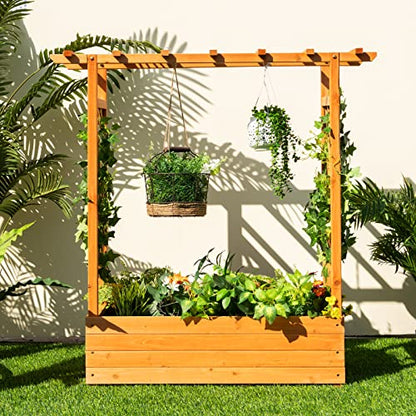 LDAILY Raised Garden Bed with Trellis, Above Ground Garden Bed with Hanging Roof, Side Trellis, & 4 Drainage Holes, Planter Box for Outdoor Climbing Plants Vines Flowers (1, 43.5"L x 17.5"W x 44.5"H) - size: 43.5" L x 17.5" W x 44.5" H