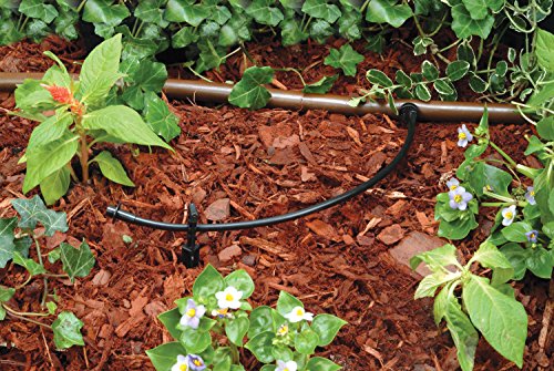 Rain Bird T22-250S Drip Distribution Tubing, 1/4" - size: 250' Roll (Pack of 1), style: Distribution Tubing